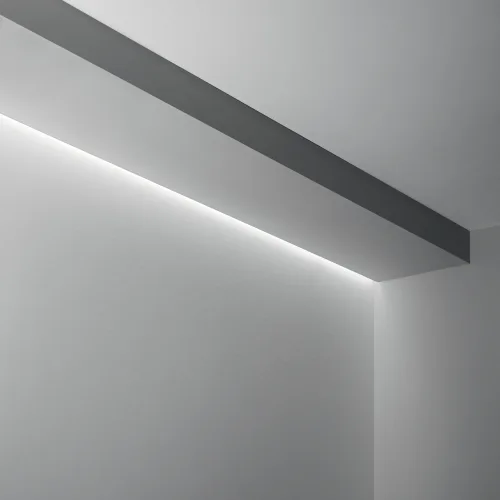 SLOT REC TRIMLESS D43XD51 2000 mm AL