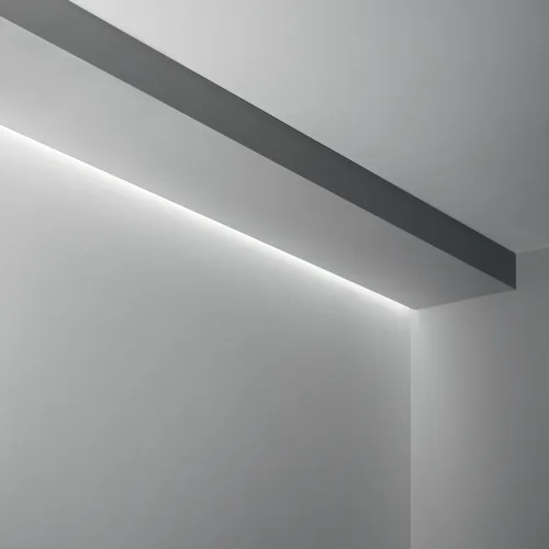 SLOT REC TRIMLESS D43XD51 2000 mm AL