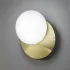 NINFEA AP1 OTTONE