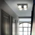 LINGOTTO PL2 OTTONE