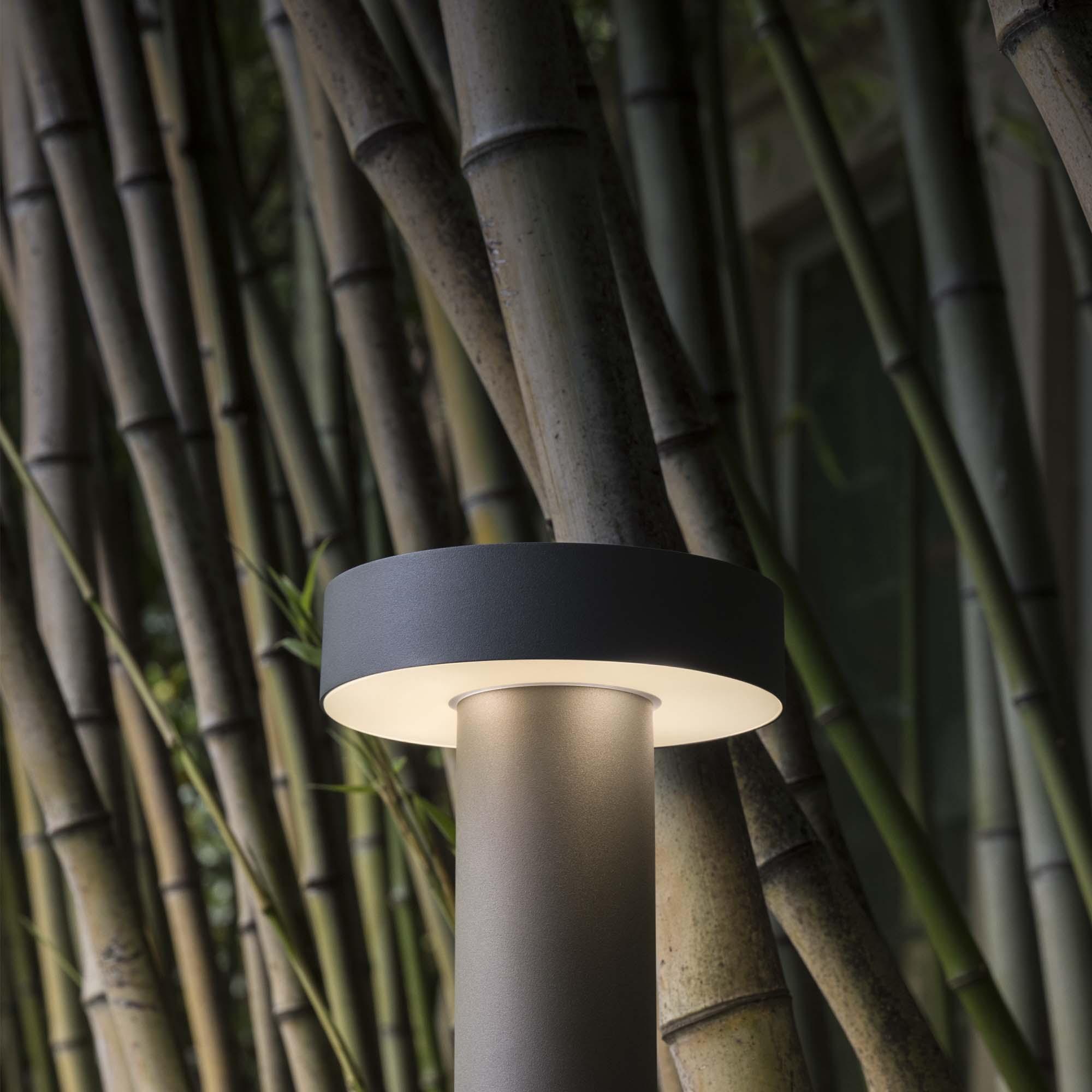 TESLA PT4 H60 COFFEE