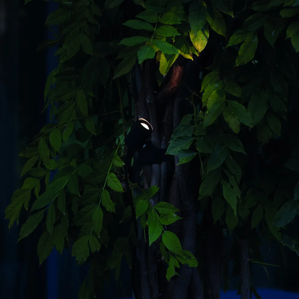 KOALA AP 3W - Location
