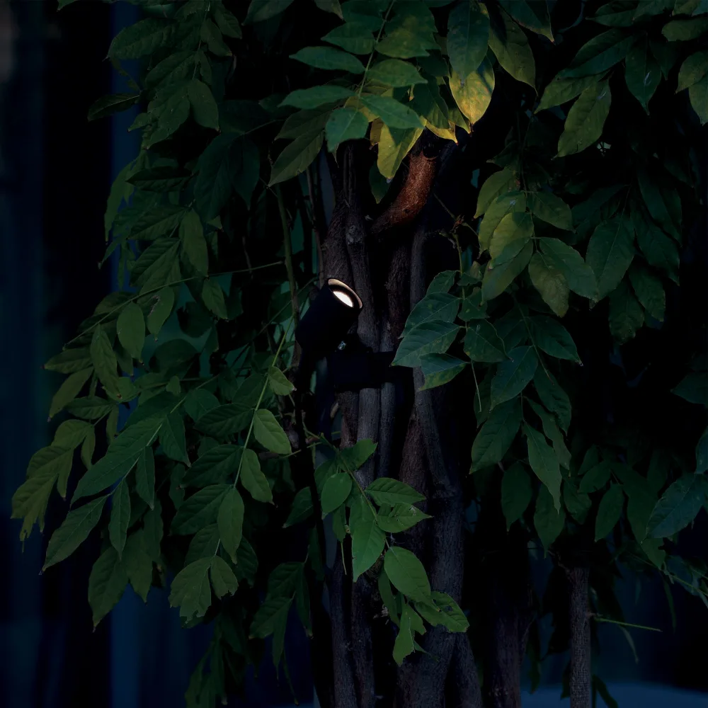 KOALA AP 3W - Location