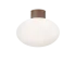 CLIO MPL1 COFFEE