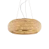 PASHA' SP14 ORO