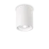 OAK PL1 BIANCO