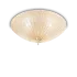 SHELL PL6 AMBRA