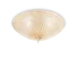 SHELL PL4 AMBRA