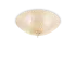 SHELL PL3 AMBRA