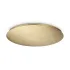 ROSONE D1050 25 FORI OTTONE