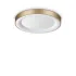 PLANET PL D50 OTTONE