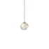 BLOOM SP1 D12 OTTONE
