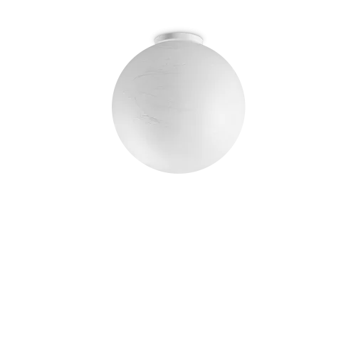 Carta