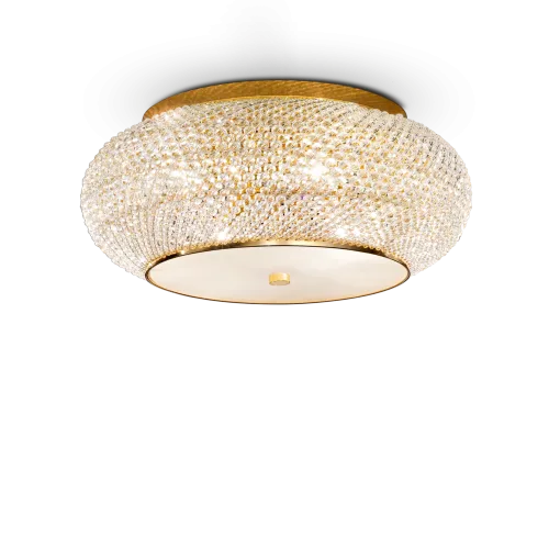 PASHA' PL14 ORO