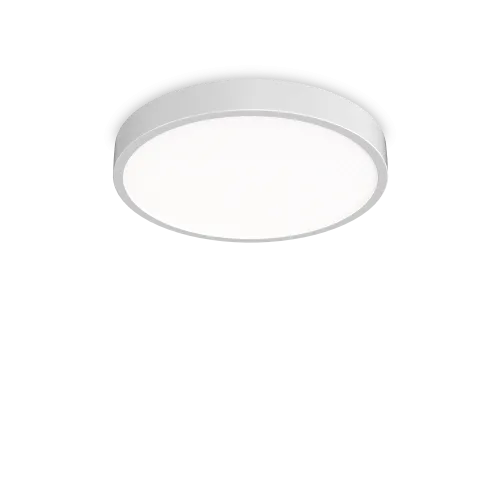 RAY PL D60 BIANCO