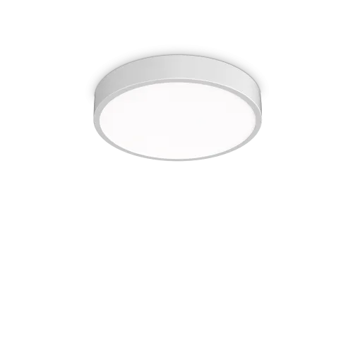RAY PL D40 BIANCO