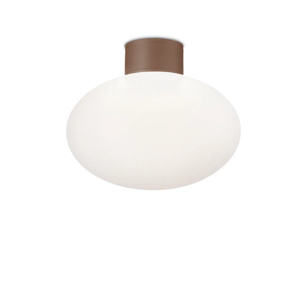 CLIO MPL1 COFFEE