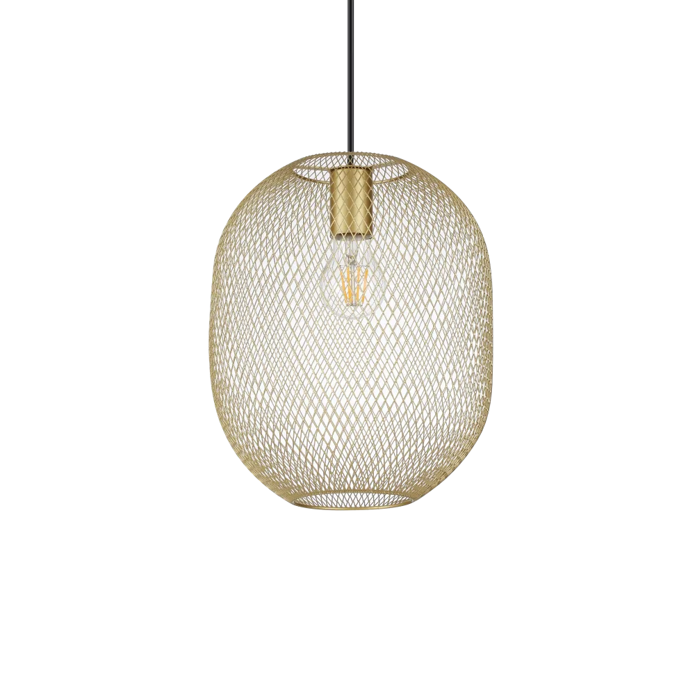 NET SP1 D24 ORO
