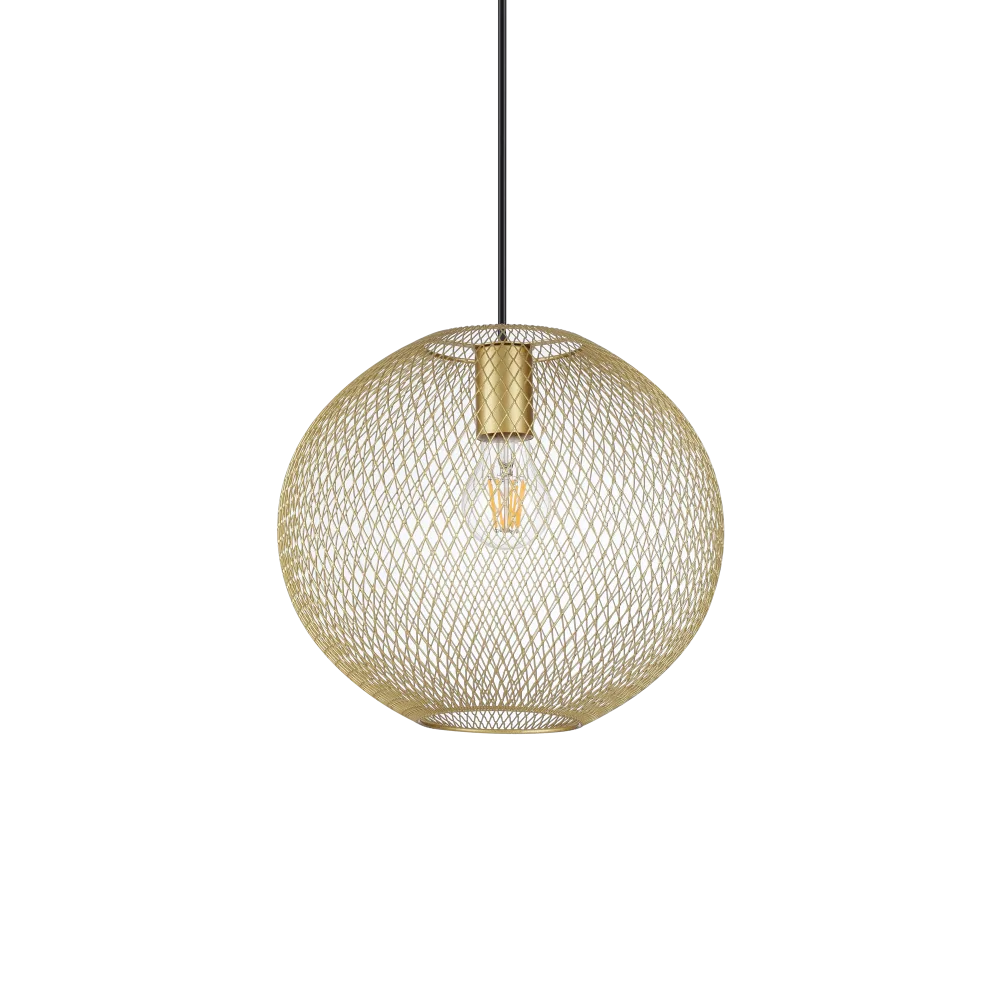 NET SP1 D29 ORO
