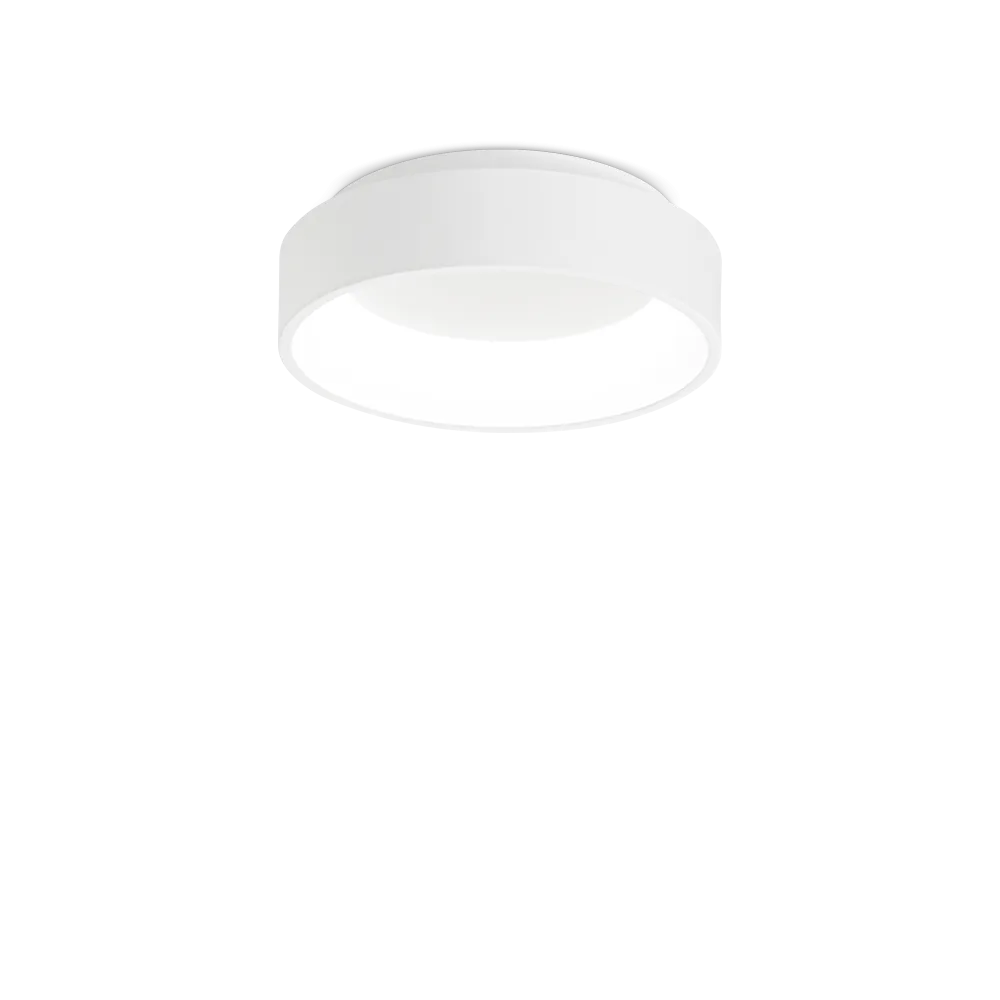ZIGGY PL D030 BIANCO