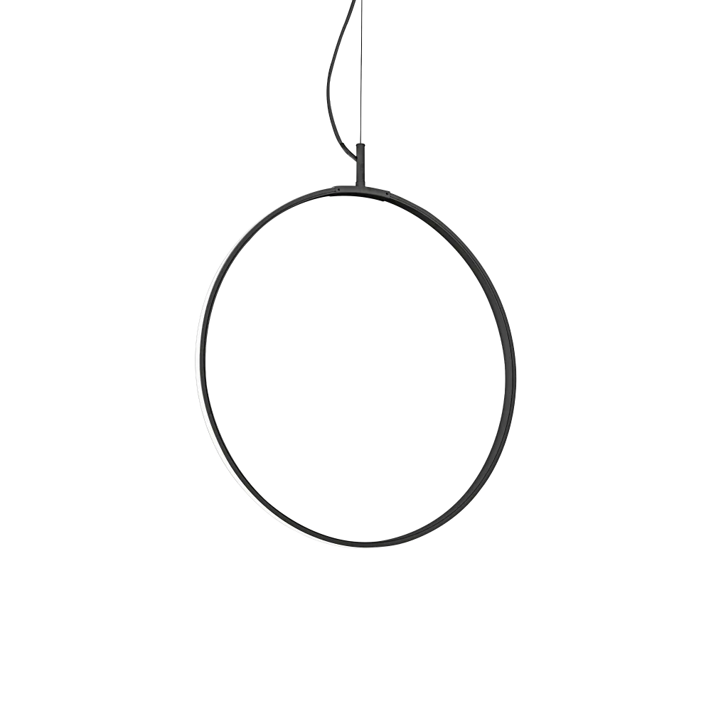 CIRCUS SP D44