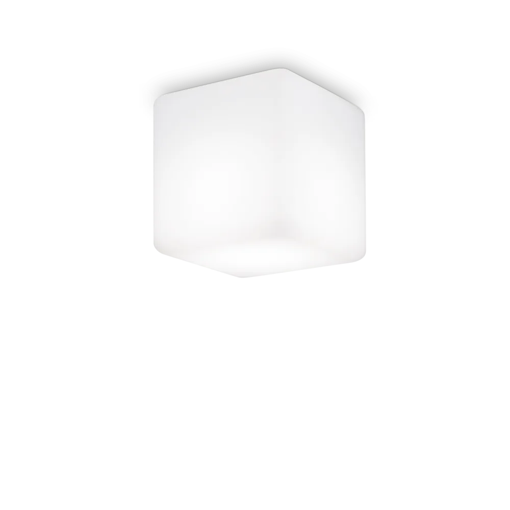 LUNA PL1 D11