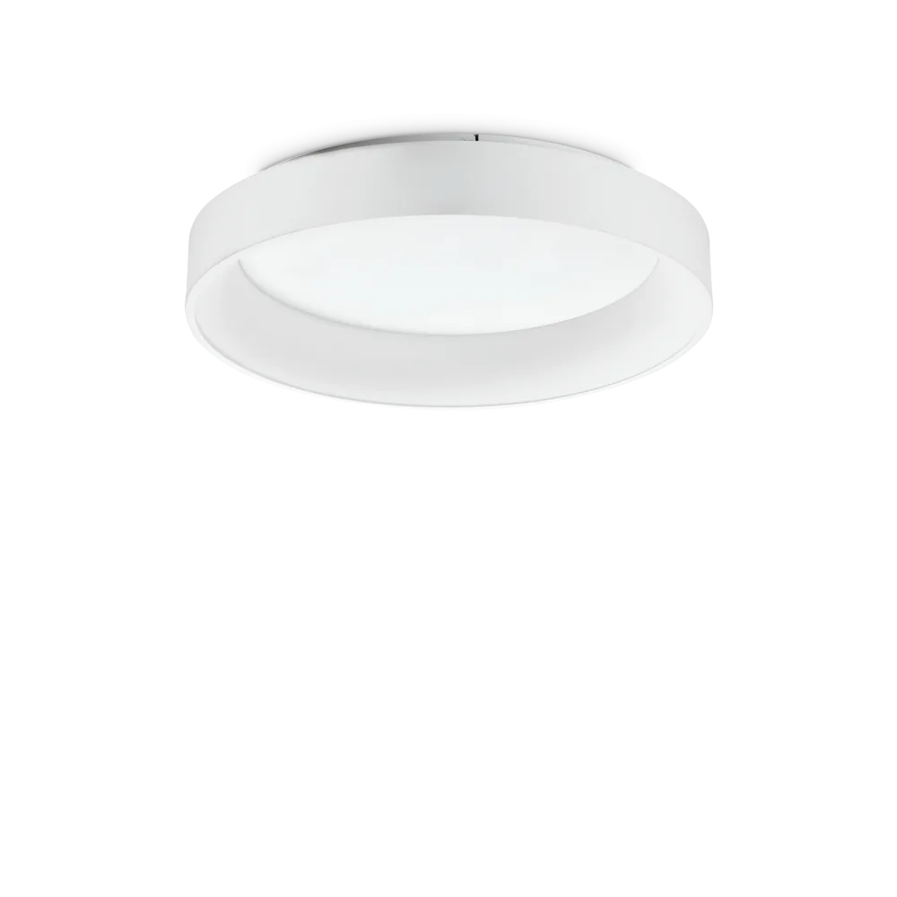 ZIGGY PL D060 BIANCO