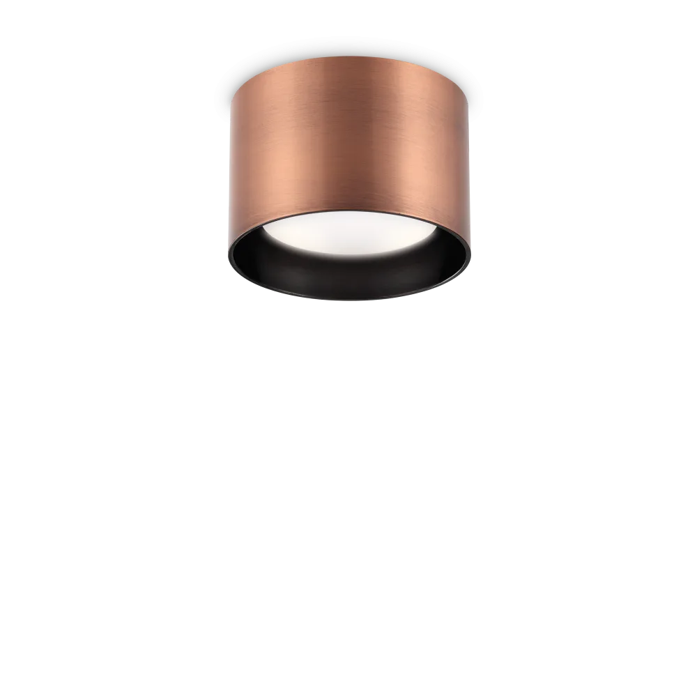 SPIKE PL1 ROUND RAME