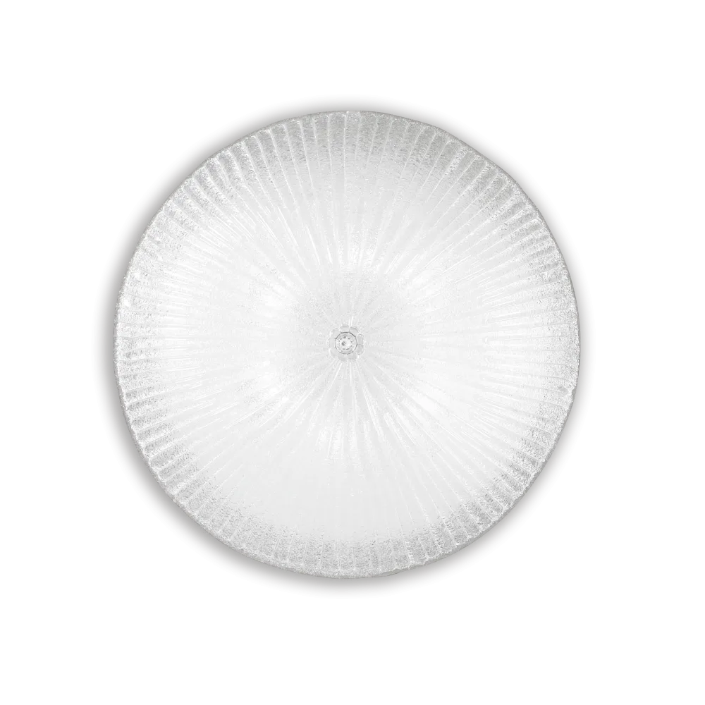 SHELL PL6 TRASPARENTE