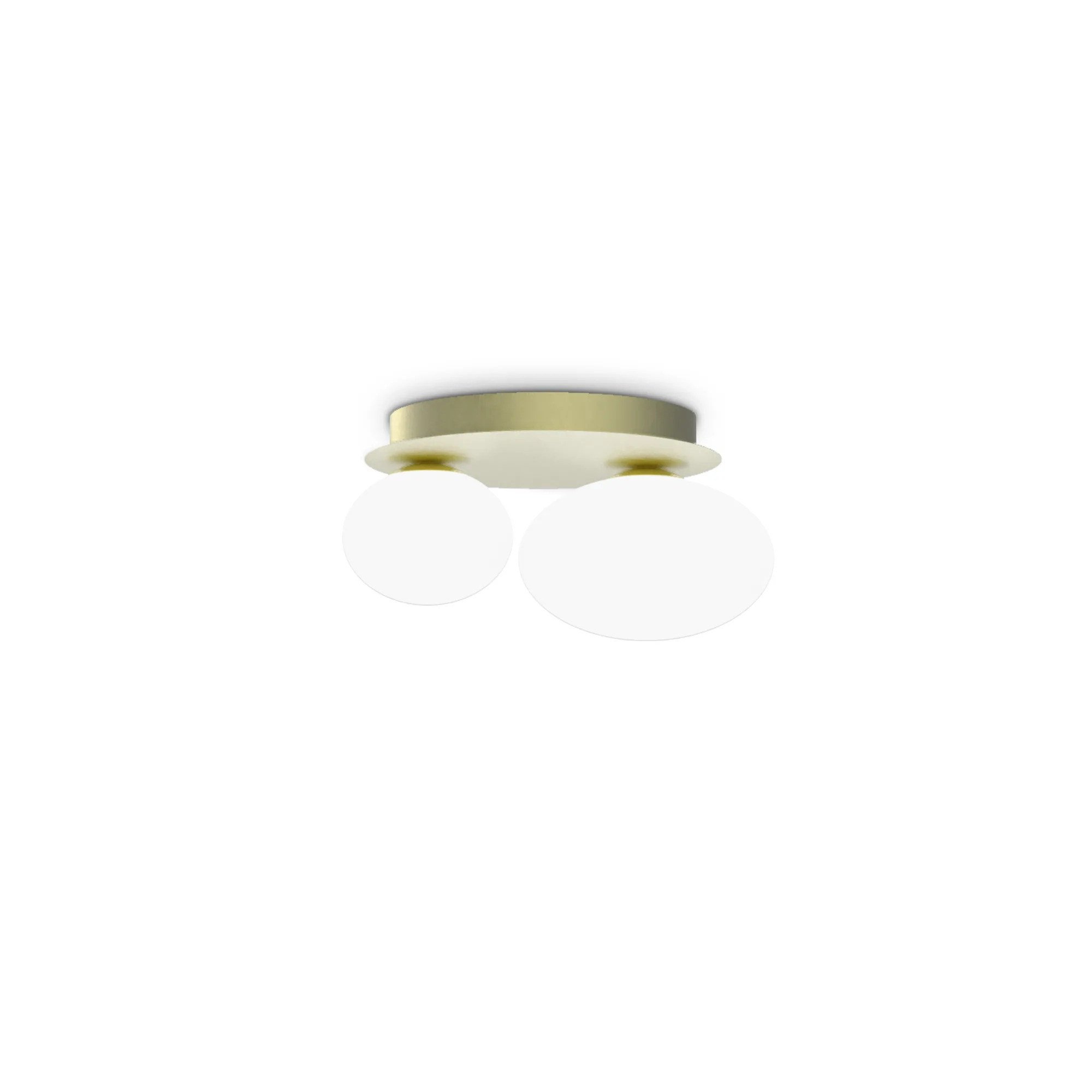 NINFEA AP2 OTTONE