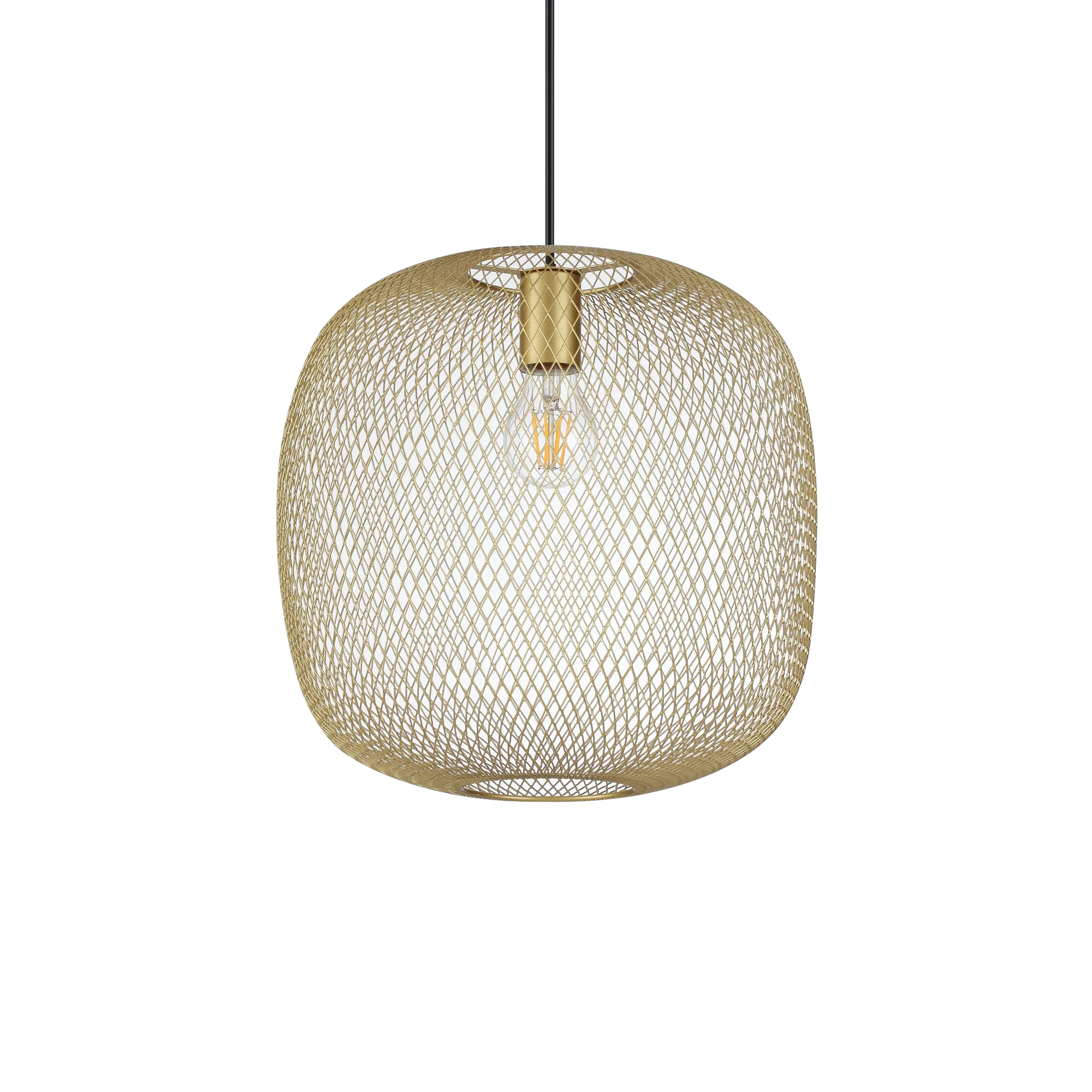 NET SP1 D34 ORO