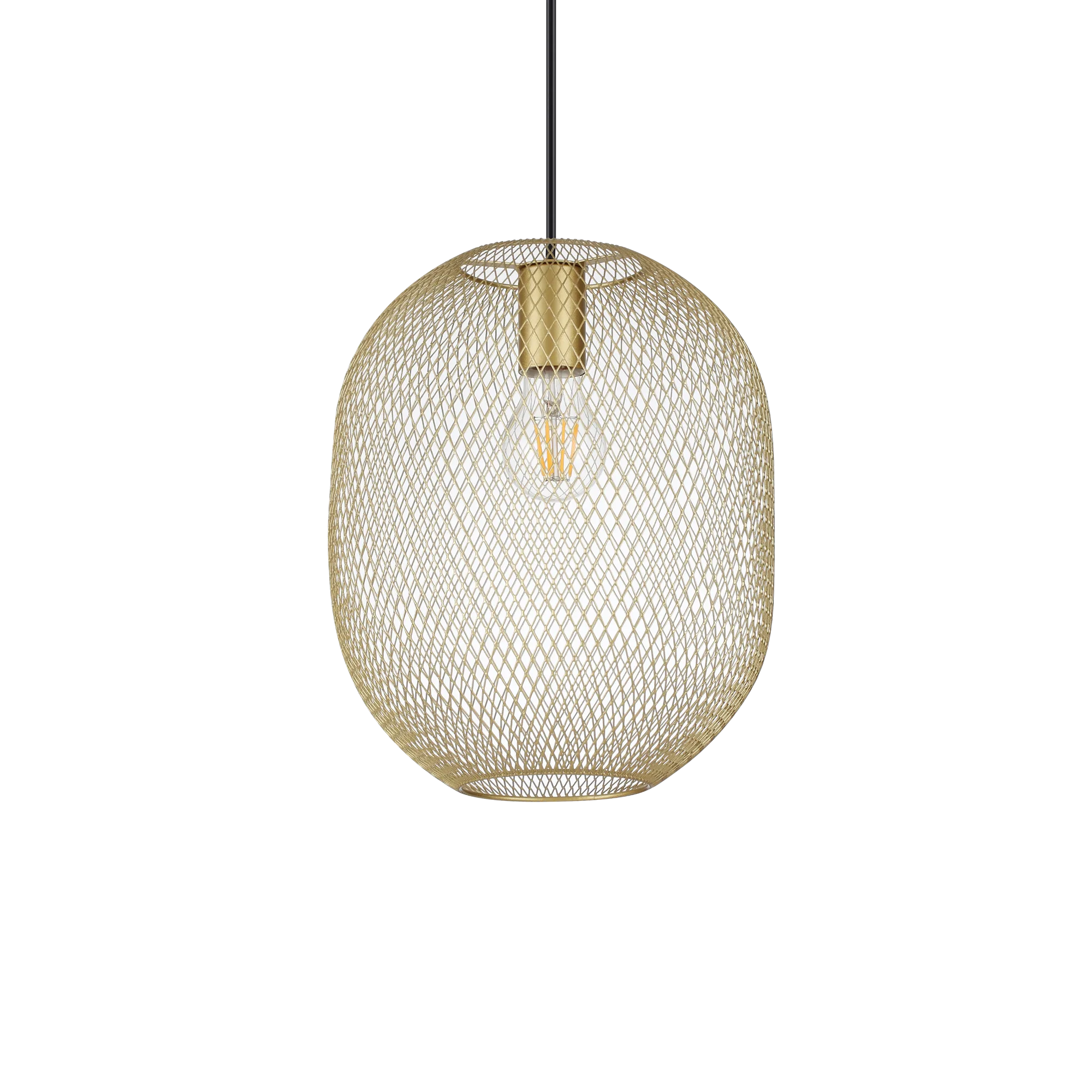 NET SP1 D24 ORO