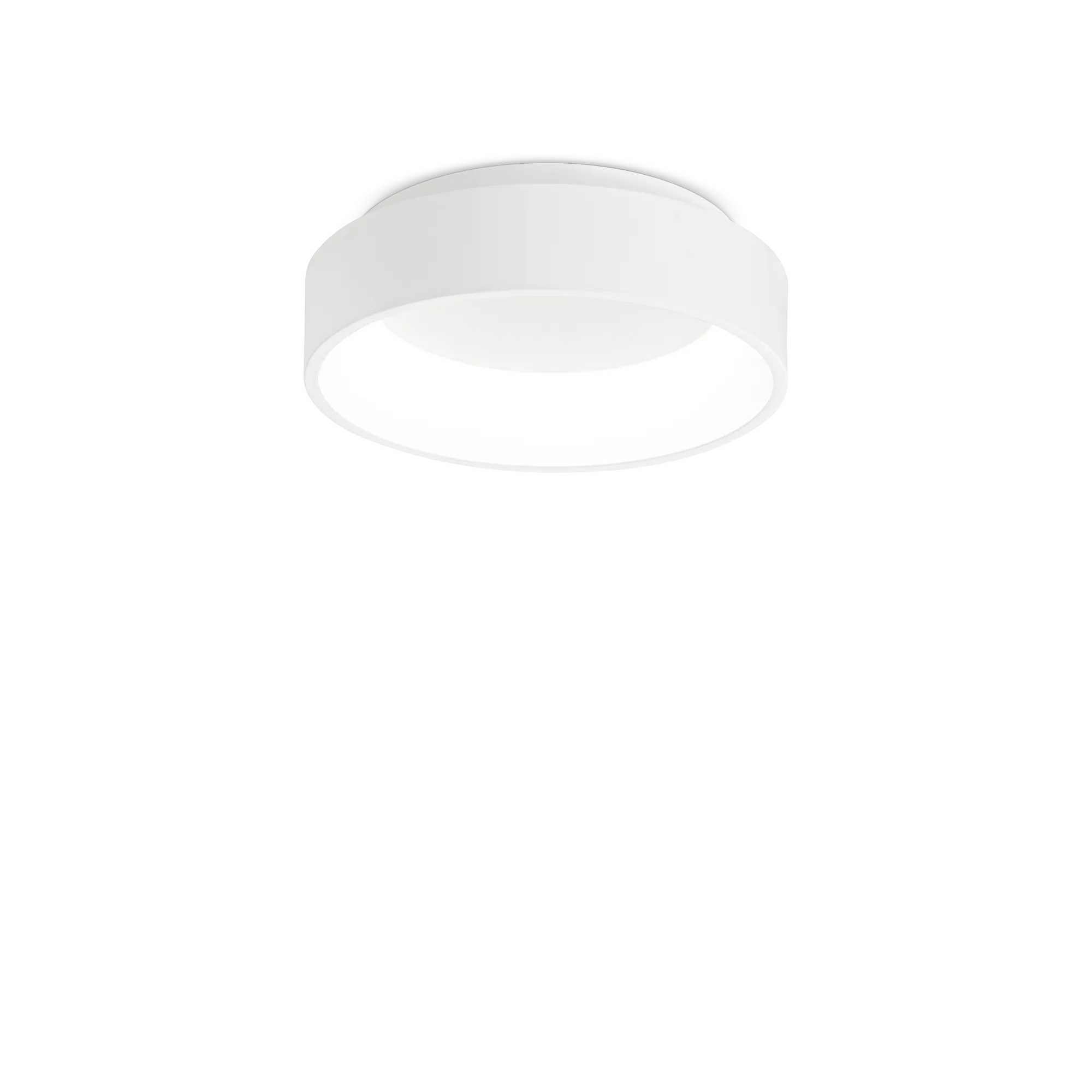 ZIGGY PL D030 BIANCO