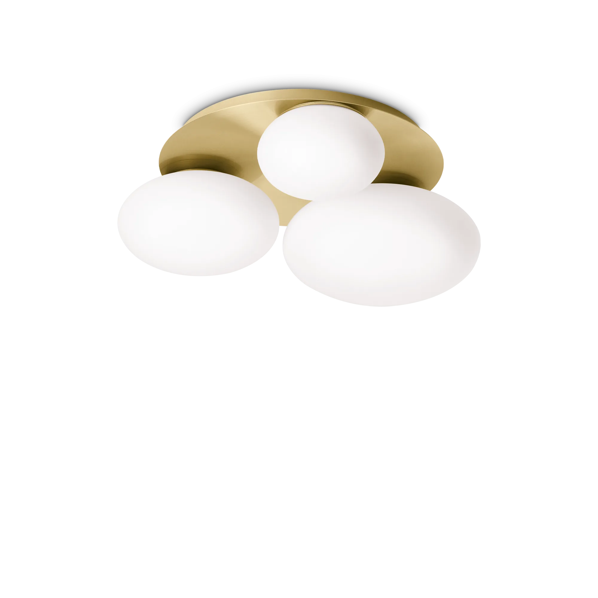 NINFEA PL3 OTTONE