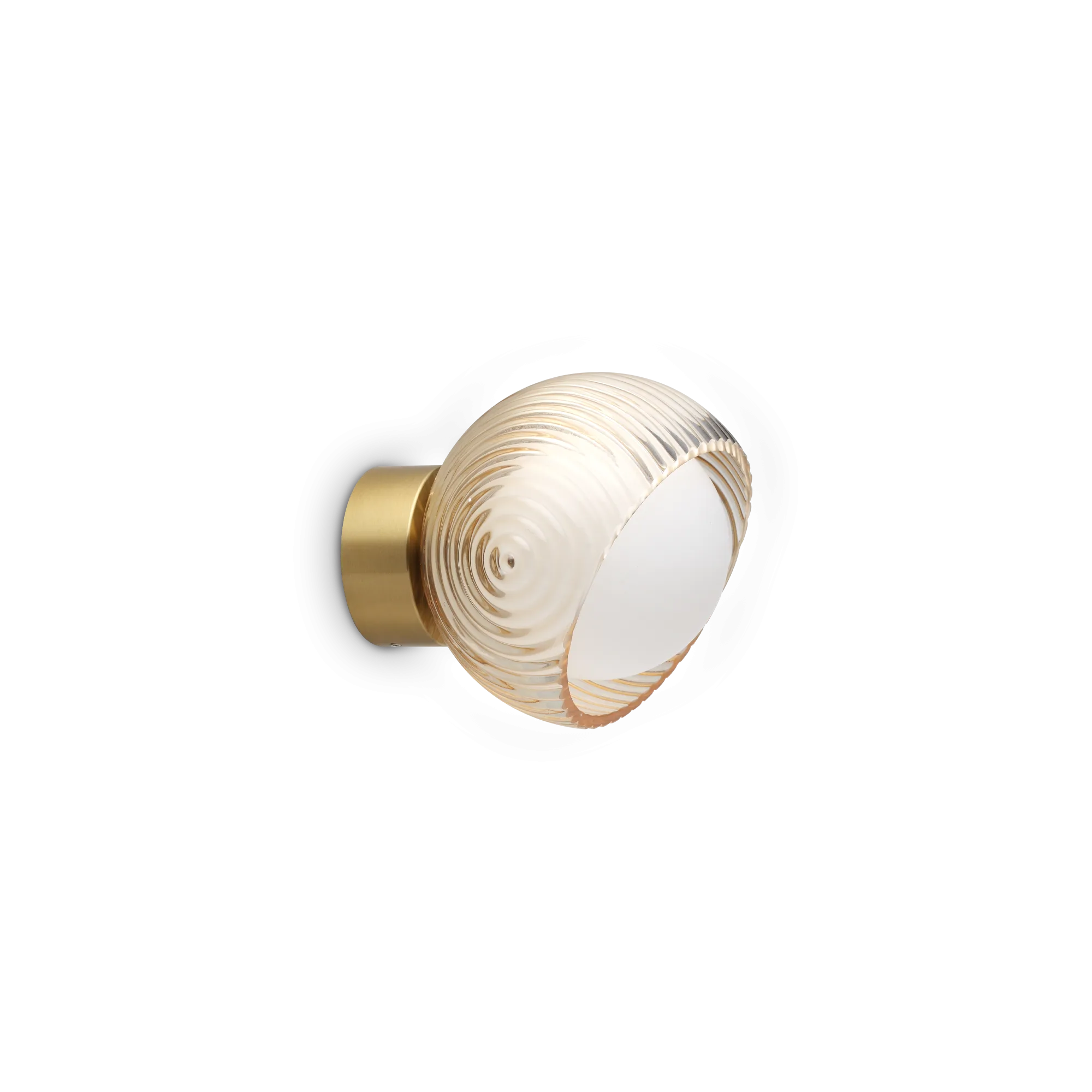 BLOOM AP1 D12 OTTONE