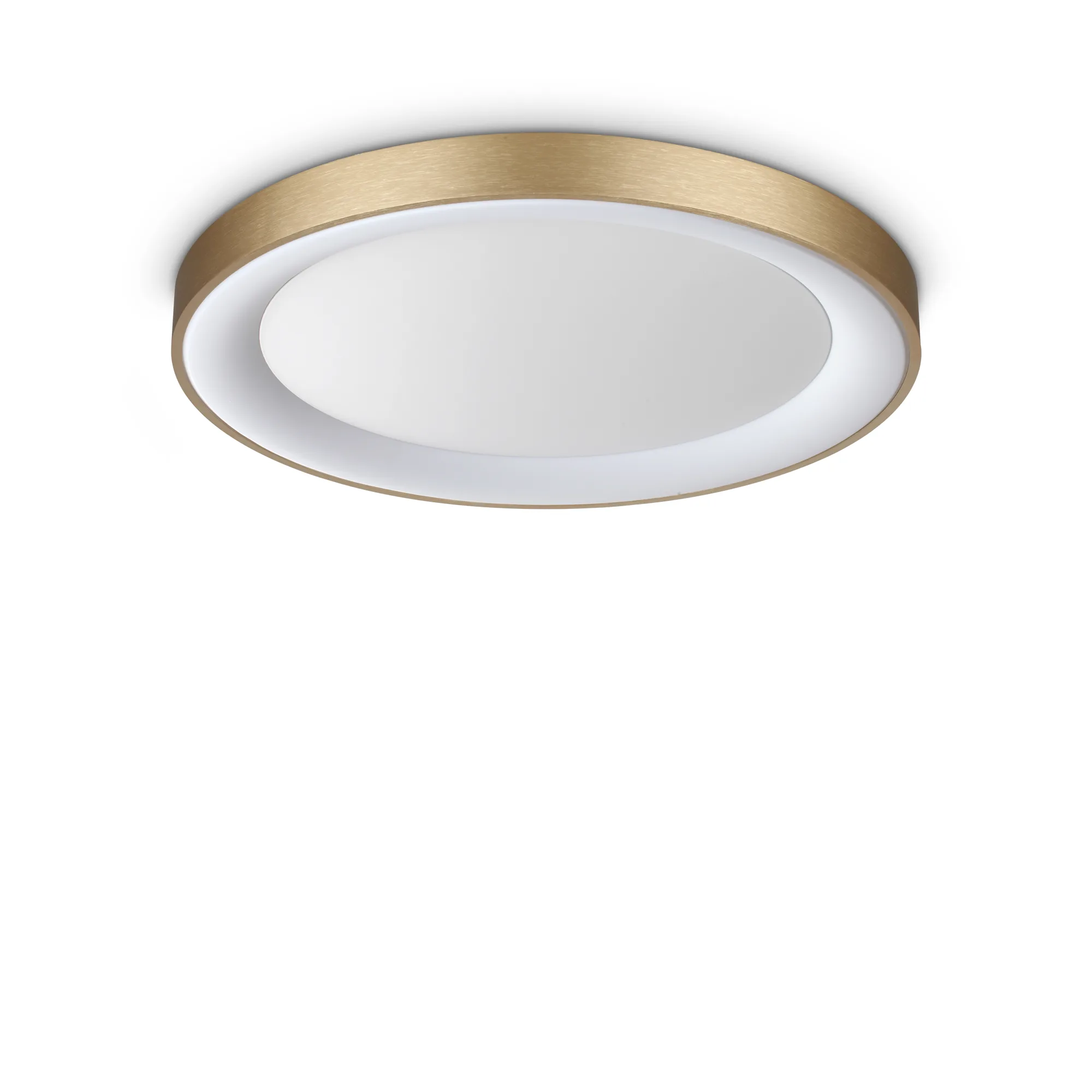 PLANET PL D60 OTTONE