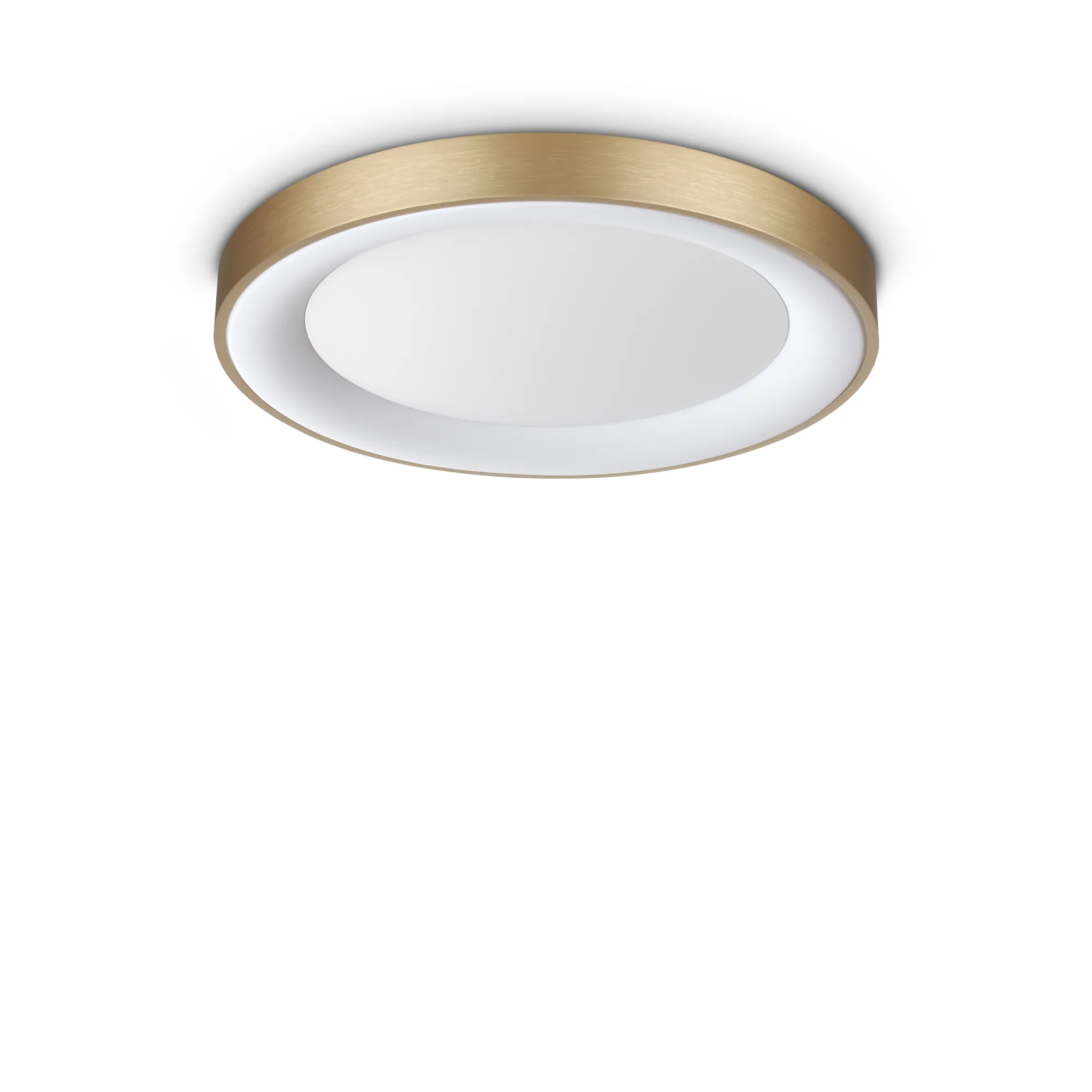 PLANET PL D50 OTTONE