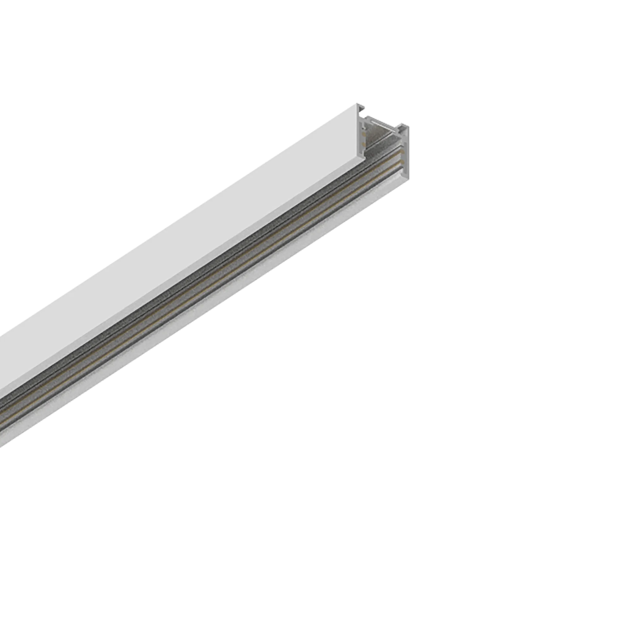 EGO LOW BINARIO 2 MT BI