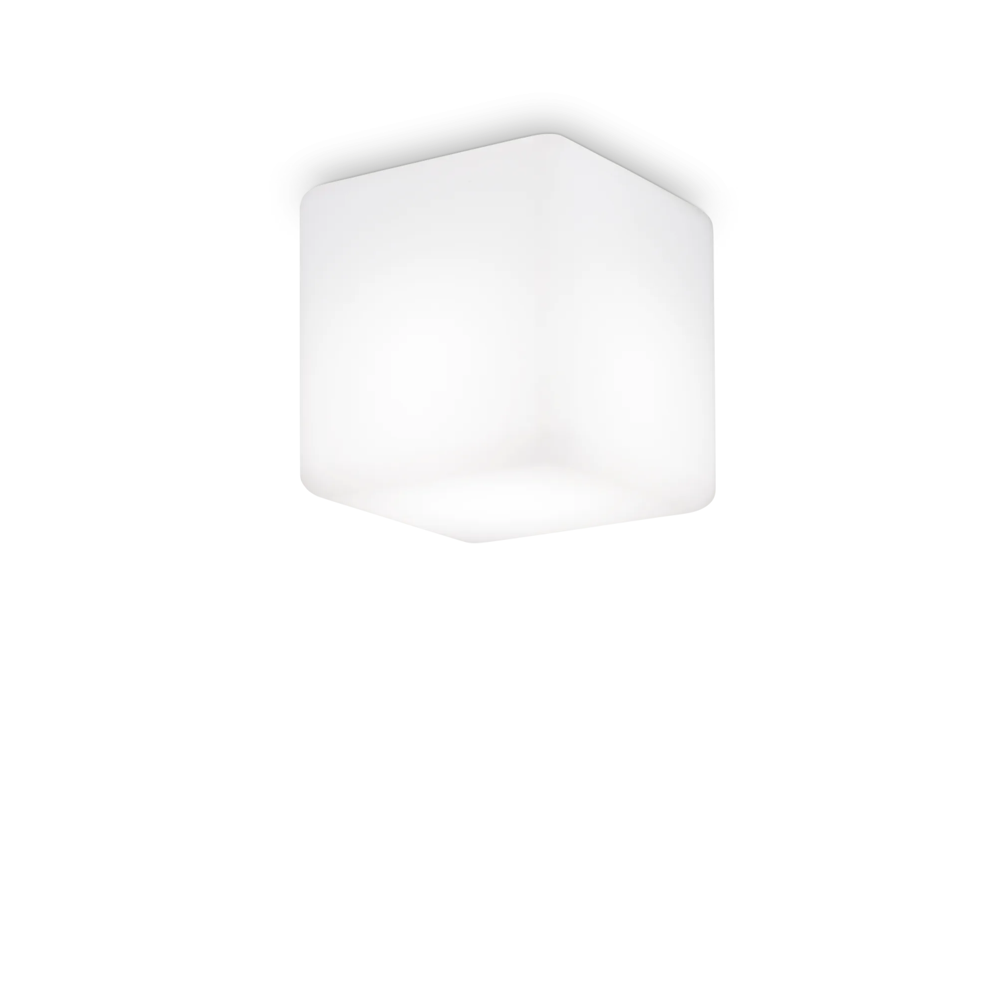 LUNA PL1 D11