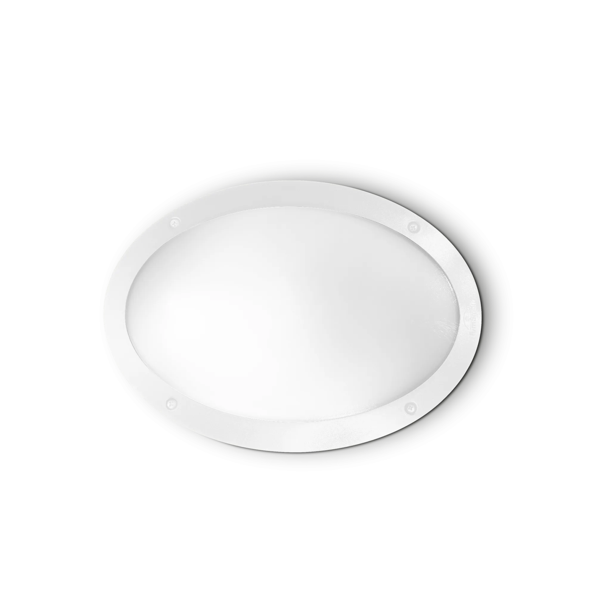 POLAR-1 AP1 OVAL BIANCO